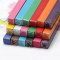 Hair Color Chalk Sticks temporary hair Color Chalk 2