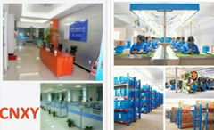 Yueqing Xingyang Electronic Co., Ltd.