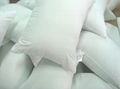 Polyester Pillow 5