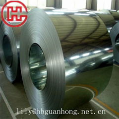 GI / Galvanized Steel Coils 