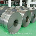 GI / Galvanized Steel Coils  3