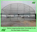 tunnel greenhouse 1