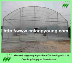 tunnel greenhouse