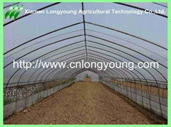 vegetable greenhouse