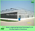 big greenhouse 1