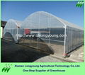 big greenhouse 3