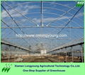 big greenhouse 2