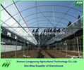 big greenhouse 4