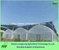 big greenhouse 5