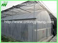 high tunnel greenhouse 1