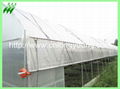 high tunnel greenhouse 4