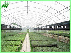 plastic film greenhouse