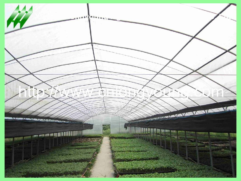 tunnel greenhouse 