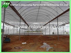 galvanized pipe greenhouse