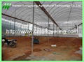 galvanized pipe greenhouse 2