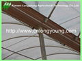 galvanized pipe greenhouse 3