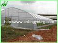 galvanized pipe greenhouse 4