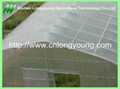 galvanized pipe greenhouse 5