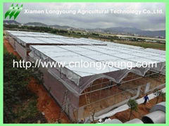 Gothic Plastic Film Multi-Span Greenhouse