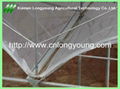 Gothic Plastic Film Multi-Span Greenhouse 2