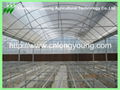 Gothic Plastic Film Multi-Span Greenhouse 4