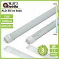 T8 LED Tube Light