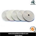 diamond polishing pad 3