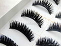 False eyelashes 2