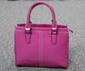 Fashion Tote   1