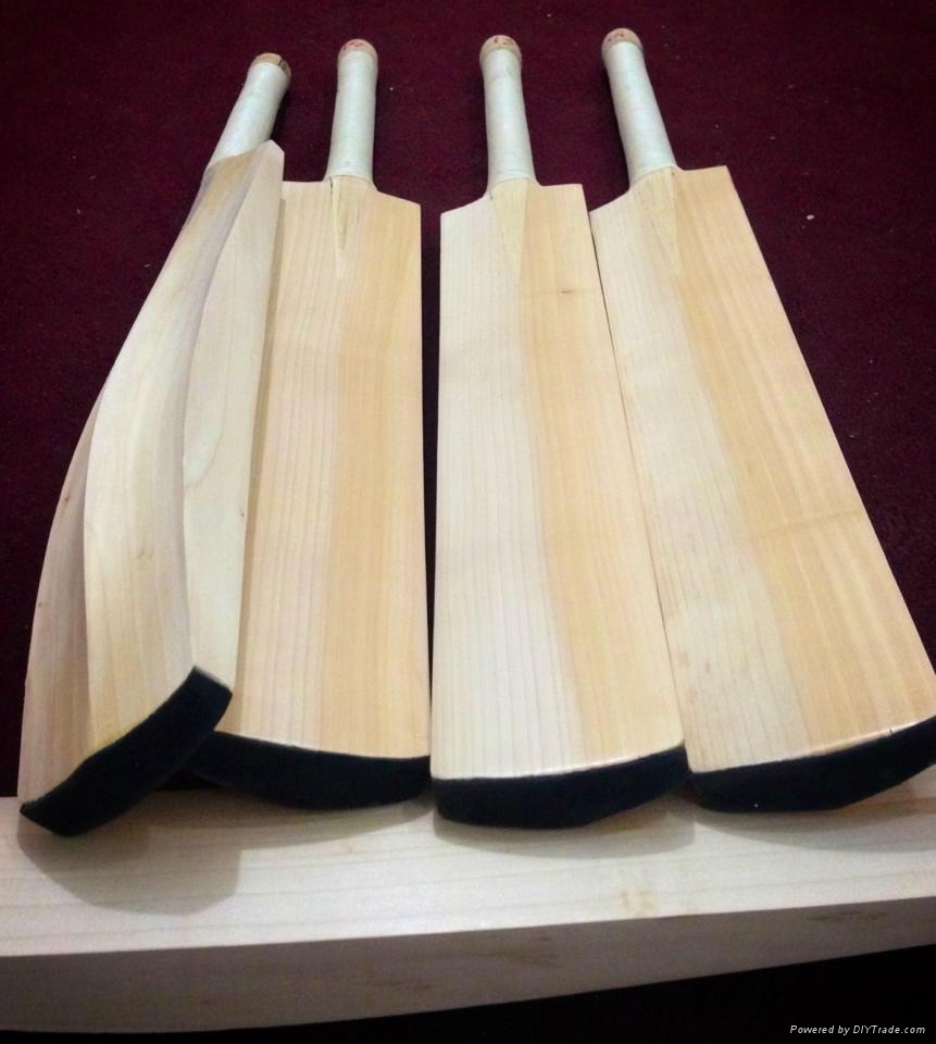 Custom Made English Willow Cricket Bat Special Handle 101 Top Quality