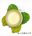 Butterfly Wall Light in Green & Orange color