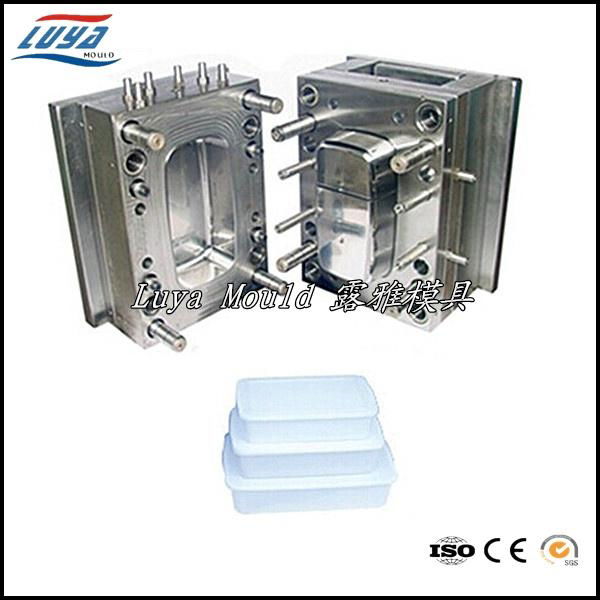 Hot!!! Plastic Injection Crisper Mould 4