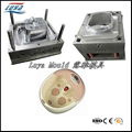 Good Quality Plastic Injection Foot Tub Mould 2