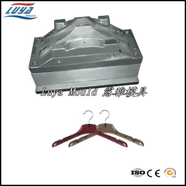 Top Quality  Plastic Injection Hanger Mould 2