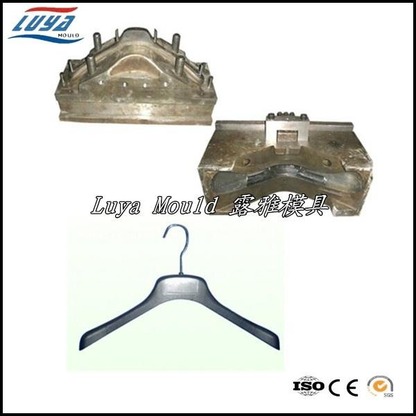 Top Quality  Plastic Injection Hanger Mould 3