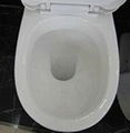 Two piece toilet 4