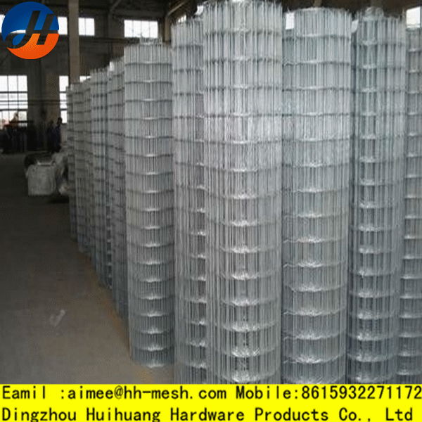 welded wire mesh