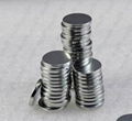 Wholesale Disc Neodymium Magnet