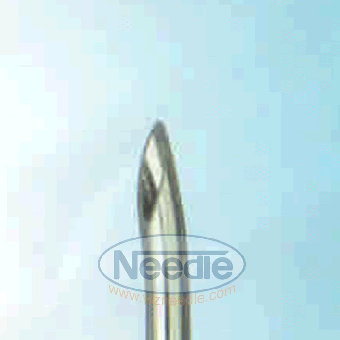 Huber needle cannula