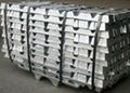 Magnesium Ingots  