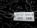 INDUSTRIAL CHAINSBlack Painted Iron Chain (SX-01)