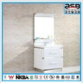 Foshan top 5 Stainless Steel bathroom cabinet