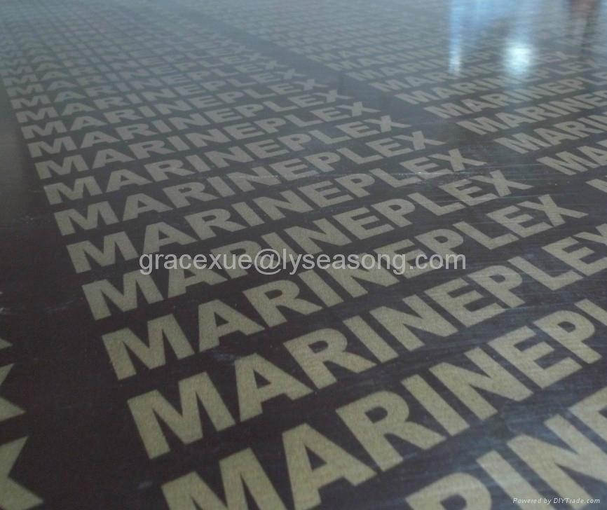 brown marineplex Film Faced Plywood 2