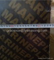 high quality marineplex Film Faced Plywood 3