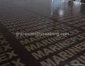 high quality marineplex Film Faced Plywood 4