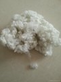 Polyester staple fiber for sale