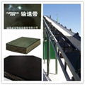 Multi-Ply Fabric Rubber Conveyor Belt (EP/NN/CC) 4