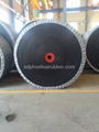 Nylon Conveyor Belt China Manufacturer 1