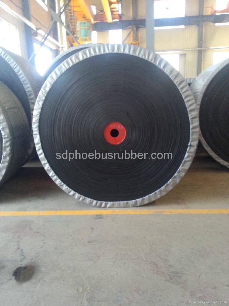 Nylon Conveyor Belt China Manufacturer