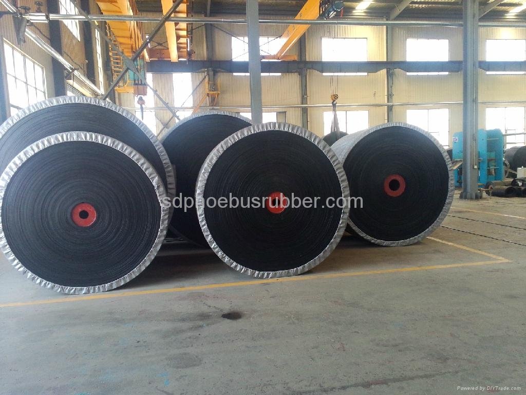 Nylon Conveyor Belt China Manufacturer 2